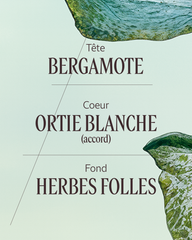 White Nettle Eau de Parfum (Herbae)50 ml