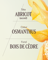 Osmanthus Apricot Eau de Toilette50 ml
