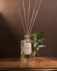 Verbena Sandalwood indoor fragrance diffuser