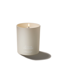Cocoon of Serenity Candle