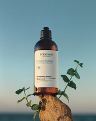 Shampooing Fraîcheur Purifiante300 ml - 2