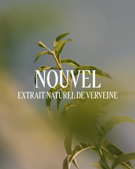 Verbena Scented Shower Gel500 ml