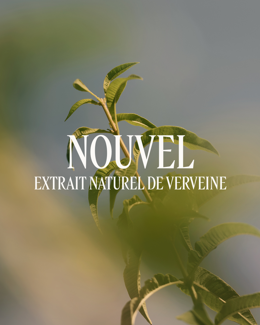 Recharge Gel Douche parfumé Verveine500 ml - 3