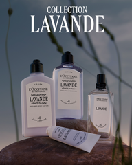 Lavender Scented Body Lotion250 ml