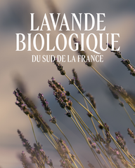 Lavender scented roll-on10 ml
