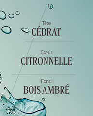 Cédrat eau de toilette50 ml