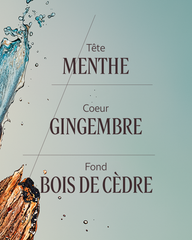 Cedar Ginger Eau de Toilette (Cap Cédrat) 50 ml