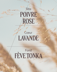 Terre de Lumière Eau de Toilette 50ml50 ml