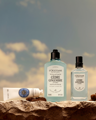 Cedar Ginger Perfume Gift Box