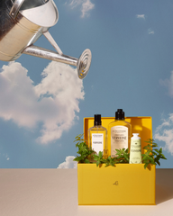 Verbena Perfume Gift Box